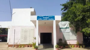Narnaul Mandi Update: नई अनाज मंडी नारनौल में बाजरा खरीद का नया रोस्टर जारी, 26 से 31 अक्टूबर तक तय गांवों के किसान ला सकेंगे फसल