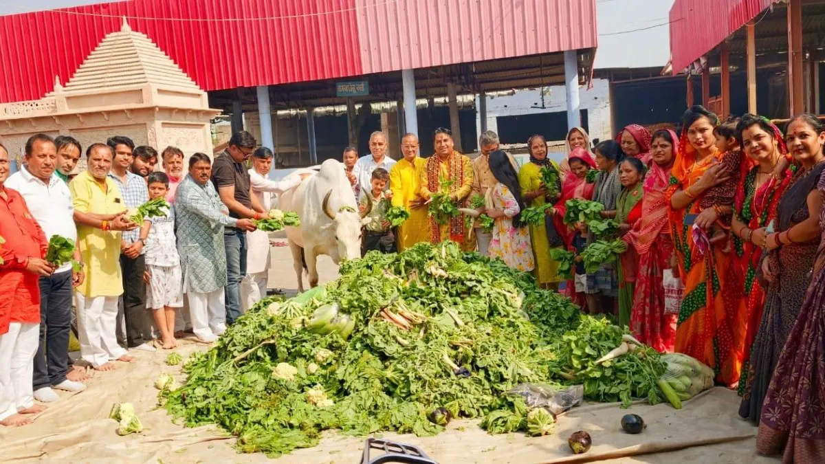 Narnaul News: गौ माता की सेवा से दूर होते हैं रोग-दोष और होता है लक्ष्मी का वास - आचार्य पं बजरंग शास्त्री