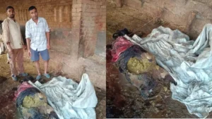 Rajound Stray Dog Attack: राजौंद में आदमखोर आवारा कुत्तों का भयानक आतंक, बाड़े में बंधी 4 बछड़ियों को नोंच-नोंचकर मार डाला