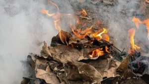 Rewari News: रेवाड़ी के बावल औद्योगिक क्षेत्र स्थित मोबाइल विनिर्माण कंपनी के स्क्रैप यार्ड में लगी भीषण आग, टला बड़ा हादसा