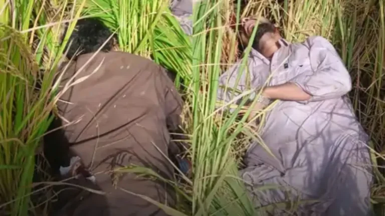 Tarntaran Border BSF Action: तरनतारन में BSF की बड़ी कामयाबी, भारत-पाक सीमा पर 2 पाकिस्तानी घुसपैठिये ढेर