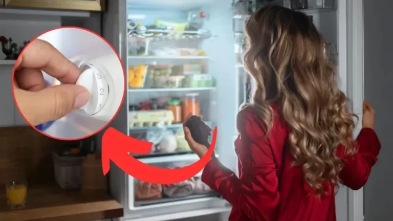 Winter fridge temperature settings: सर्दियों में क्या बदल देनी चाहिए फ्रिज की सेटिंग? जानिए क्या है तापमान का सही गणित