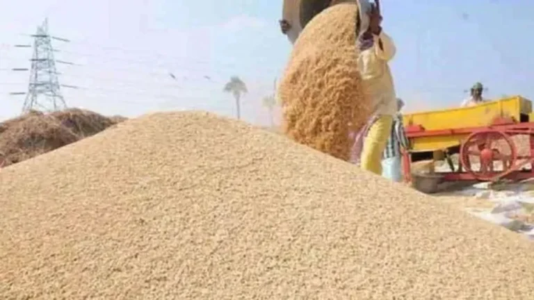Yamunanagar Rice Mill Auction: 1.85 करोड़ में नीलाम हुई न्यू किसान राइस मिल, 70 करोड़ घोटाले पर 323 दिन बाद भी चुप्पी