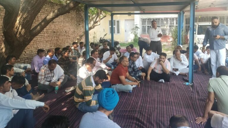 Haryana Electricity Workers Strike: वादाखिलाफी से नाराज हरियाणा के बिजली कर्मचारी, जानिए क्यों जलाए गए HERC चेयरमैन के पुतले