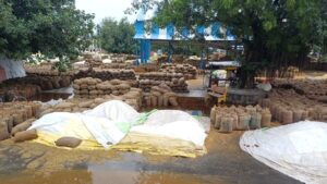 Pundri-mandi Paddy Crop Damaged: पूंडरी मंडी में बारिश से बिगड़े हालात, खुले में पड़ा हजारों क्विंटल धान भीगा, किसानों की बढ़ी मुश्किले